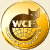 WCF show of cats on january, 6 - 7, 2012, in a city of Kazan